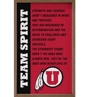 Team Spirit University Of Utah